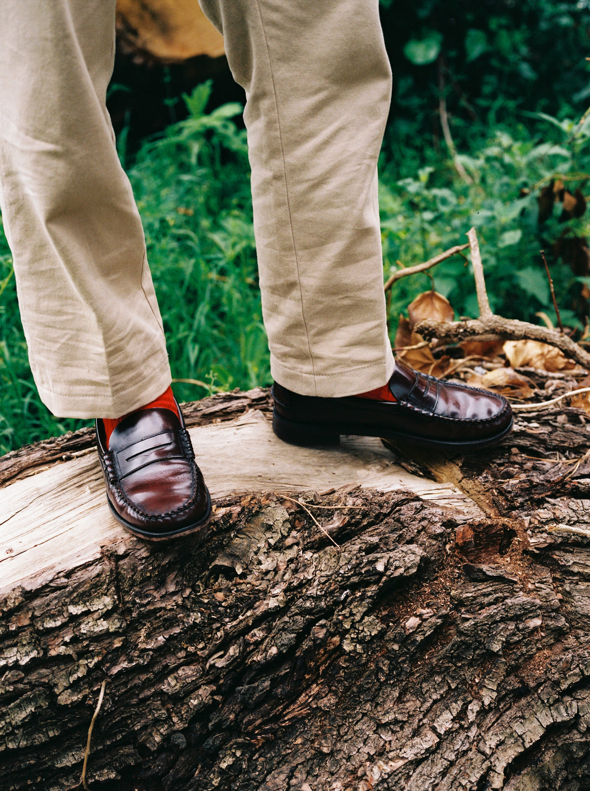 Classic Dan - Brown Burgundy | Sebago Men